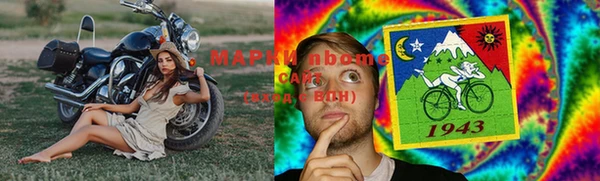 шишки Армянск
