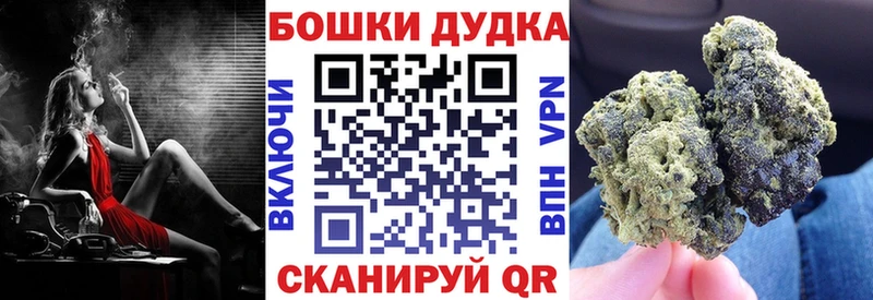 Шишки марихуана сатива  Салаир 